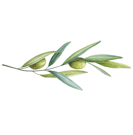 olive